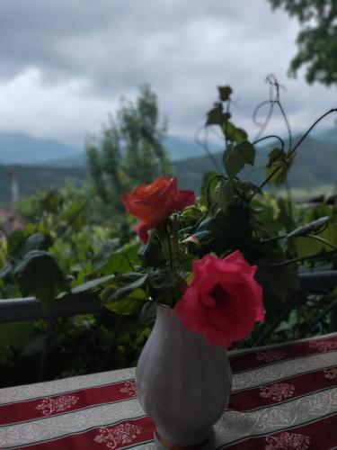  Anush`s B&B -  Room  picture :   Balcony    Wardrobe or closet    Hand sanitiser   