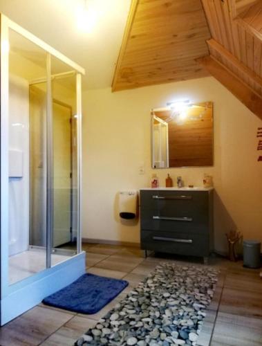 a bathroom with a shower and a sink at La Miellerie du Massegros in Le Massegros