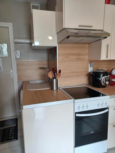 uma cozinha com um fogão branco e um lavatório em Appartement 3 étoiles - 1 chambre Les Becs em Saint-Hilaire-de-Riez