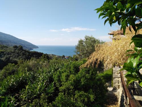 Φυσικό τοπίο κοντά σε αυτή η παραθεριστική κατοικία