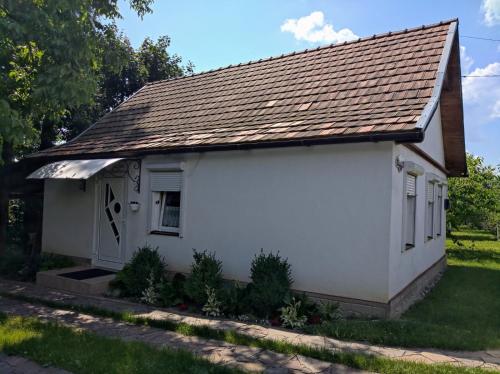 a small white house with a brown roof at Hotel Окремий Будинок-Апартаменти in Rakoshyno