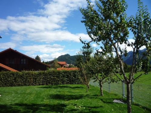 a green yard with trees and a fence at Ferienwohnung Aletsee in Pfronten