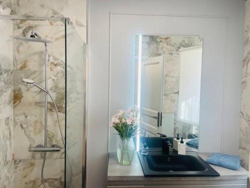 une salle de bain avec un lavabo et un miroir dans l'établissement Villa privée avec piscine, à Valescure