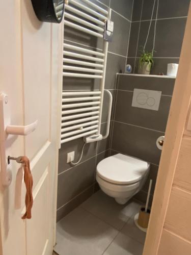 een kleine badkamer met een toilet en een raam bij La petite Jeanine in Villers-sur-Mer