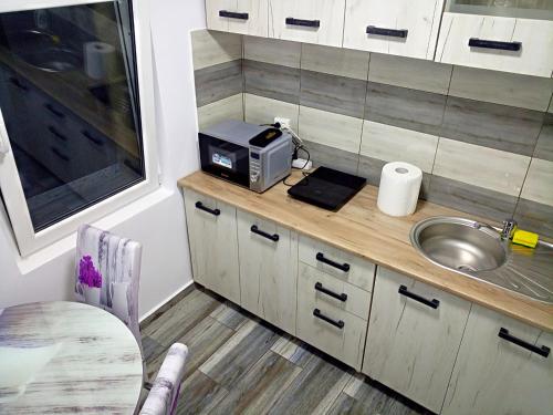 une cuisine avec évier et four micro-ondes sur un comptoir dans l'établissement Garsoniera Angelica, à Sulina