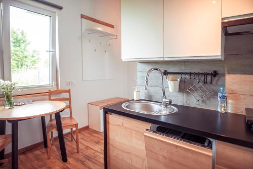 a kitchen with a sink and a table in it at Zimna Apartments in Kwidzyn