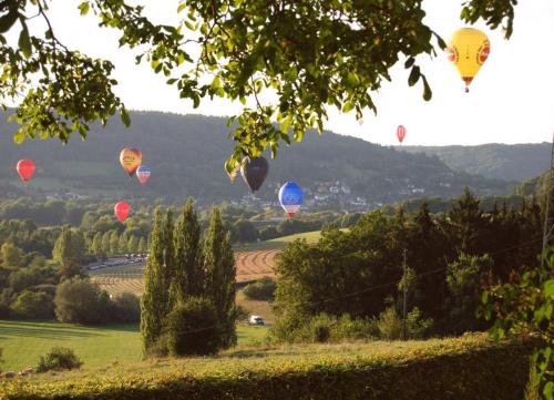 a group of hot air balloons flying over a field at Roudenhaff Guestfarm in Echternach