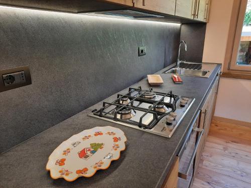 a kitchen with a stove and a plate on a counter at CasAmici in Bognanco