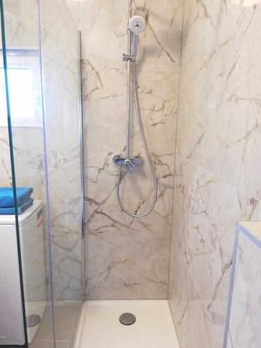 a shower with a glass door in a bathroom at Olive Tree - House with Pool in Vinišće