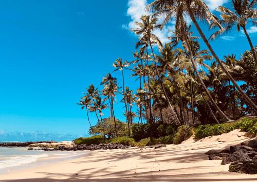 a group of palm trees on a beach at Go Camp Maui in Ah Fong Village