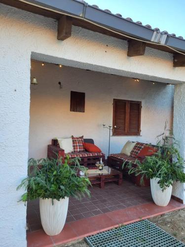 a patio with two potted plants and a couch at Casa Twins in Sassari