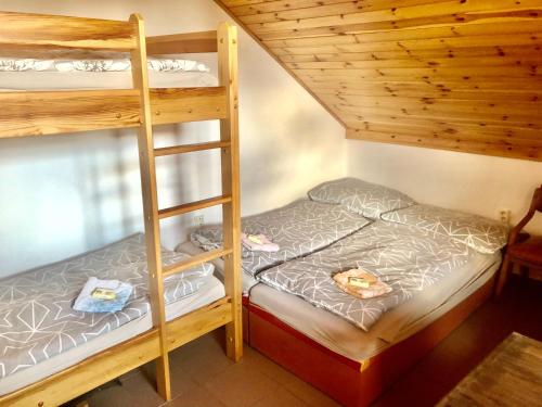 a bedroom with two bunk beds and a ladder at Ubytování Vlachovice u Nového Města na Moravě in Nové Město na Moravě