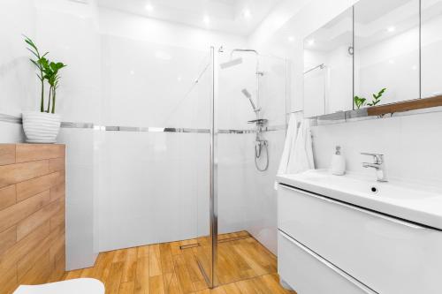 baño blanco con ducha y lavamanos en Apartament Rowerowo przez Mierzeję, rowery gratis, en Sztutowo