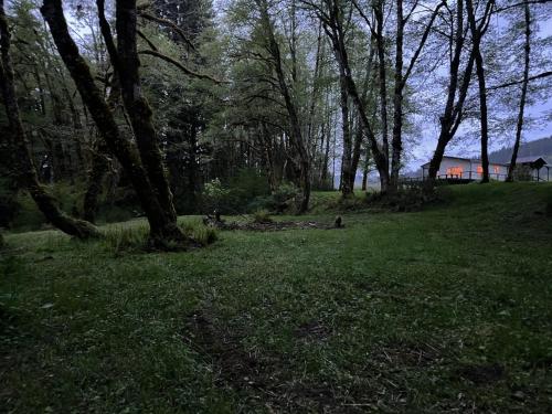 Φυσικό τοπίο κοντά σε αυτή η παραθεριστική κατοικία