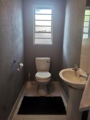 a bathroom with a toilet and a sink and a window at The Calm Views Holiday Home in Hazyview