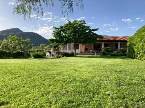 a large yard with a house and a tree at Countryside villa in Sardinia in Triei