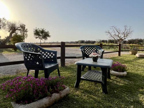 due sedie e un tavolo nell'erba con fiori di Masseria Agriturismo Fontanella a Nardò
