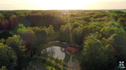an aerial view of a house with a bridge over a river at Gervės dvaro svečių namelis in Vėžionys