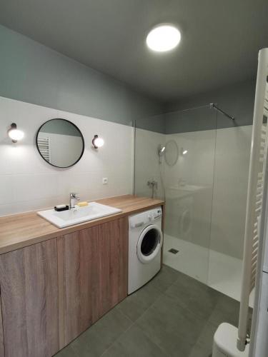 une salle de bain avec un lavabo et une machine à laver dans l'établissement Gîte - Le Moussat, à Lagraulet-du-Gers