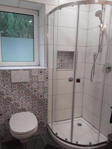 a bathroom with a shower and a toilet at Haus am rechten Fleck in Kaunertal