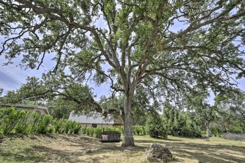 a bench under a large tree in a yard at Family Home Near Kings and Sequoia National Parks! in Squaw Valley