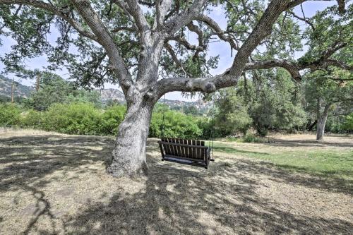 a park bench sitting under a large tree at Family Home Near Kings and Sequoia National Parks! in Squaw Valley