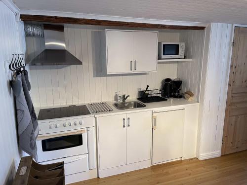 a kitchen with white cabinets and a sink and a microwave at Swedish Adventure in Brograngen