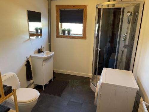 a bathroom with a shower and a toilet and a sink at Swedish Adventure in Brograngen