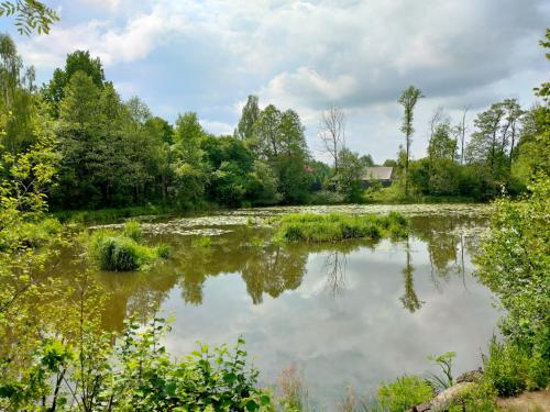 a pond with trees and clouds in the sky at Leśniczówka in Rządza