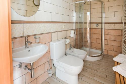a bathroom with a toilet and a sink and a shower at Hezká chalupa in Strmilov