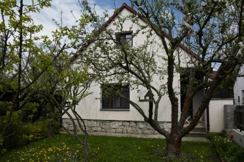 a white house with trees in front of it at Hezká chalupa in Strmilov
