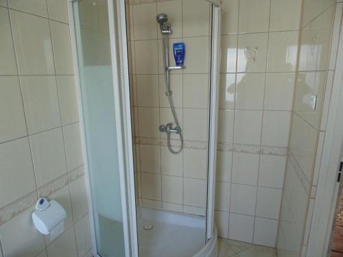 y baño con ducha y puerta de cristal. en Villa Turysta, en Białystok