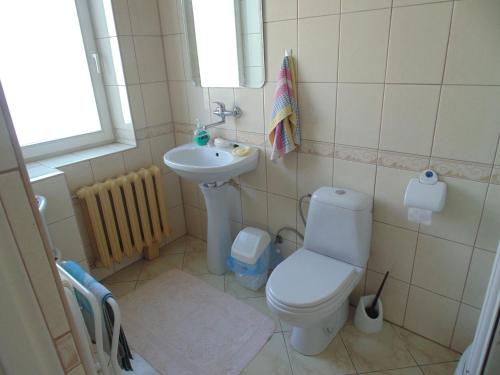 a small bathroom with a toilet and a sink at Villa Turysta in Białystok