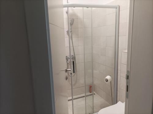 een douche met een glazen deur in de badkamer bij Vjećna vatra in Sarajevo