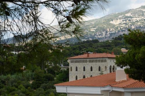 a building with a mountain in the background at Ideal Forest room in Athens
