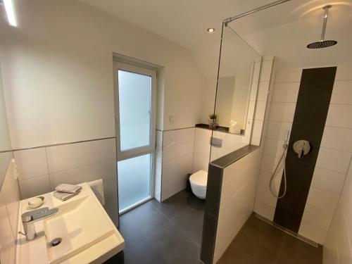 a bathroom with a shower and a sink and a toilet at Ferienhaus Xantenamera in Xanten-Wardt am See in Xanten