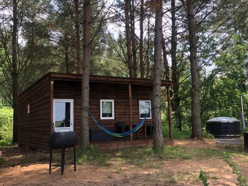 a log cabin with a hammock in the woods at Forest cabin in Ozolaine