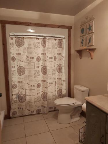 a bathroom with a toilet and a shower curtain at Upper Humber Settlement a FarmStay B&B in Cormack