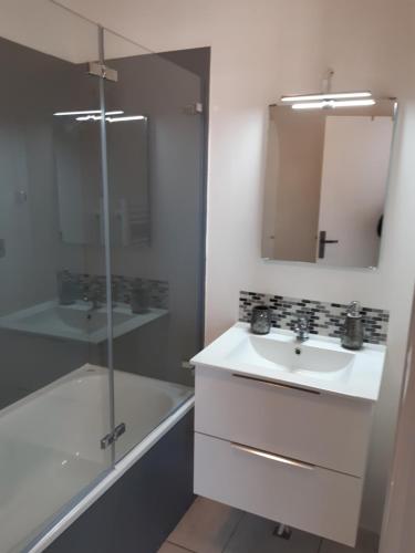 ein Bad mit einem Waschbecken, einer Dusche und einem Spiegel in der Unterkunft Studio dans résidence avec piscine in Montpellier