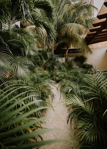 a row of palm trees in a building at The Strabon Tulum in Tulum