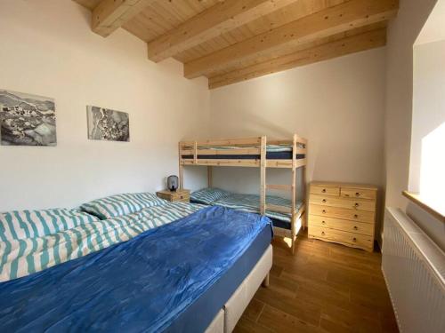 1 dormitorio con 2 camas y 1 litera en Chalupa Mezi Kopci, en Rudná pod Pradědem