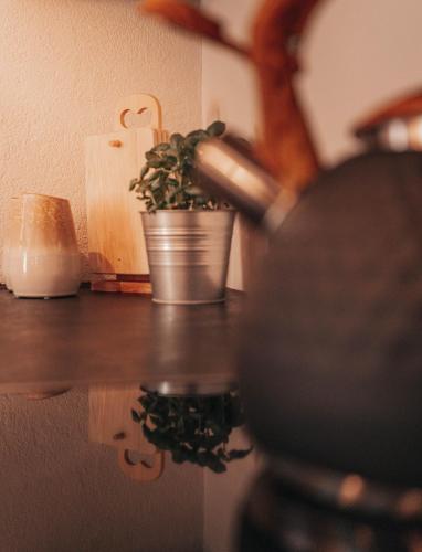 a plant in a pot sitting on a table at ARLhome - Zuhause am Arlberg in Sankt Anton am Arlberg
