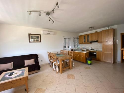 Η κουζίνα ή μικρή κουζίνα στο Apartmani-joe