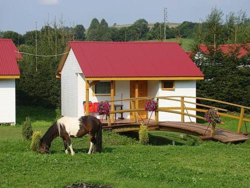 a horse grazing in the grass in front of a house at Domek Letniskowy 7 in Zawóz