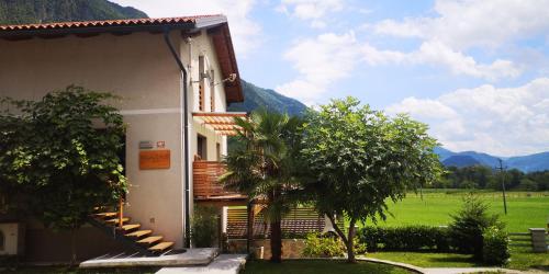a building with a palm tree next to a field at Apartment House Blazar in Tolmin