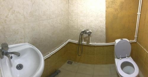 MartuniにあるGreen Gables Martuniのトイレと洗面台付きのバスルーム
