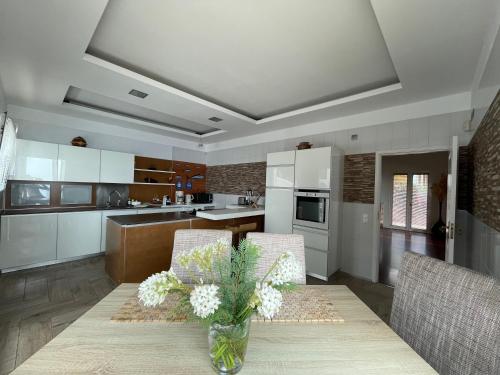 Kuchyň nebo kuchyňský kout v ubytování Villa Isabela - Car Rental for Free