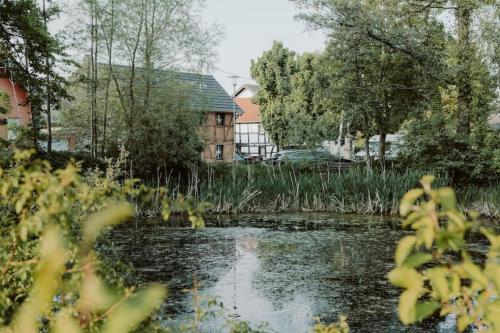 a pond in a yard with a house in the background at Modernisiertes Fachwerkhaus in Rheinbach bei Bonn in Rheinbach