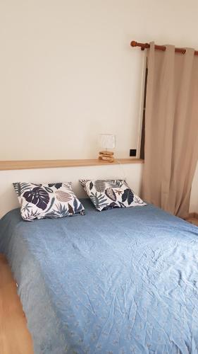 uma cama com duas almofadas em cima em Appartement bord de mer em Dinard