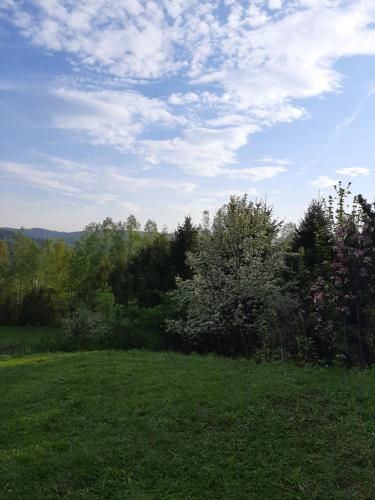 a green field with trees and a cloudy sky at Dom Przy Lesie in Wisła